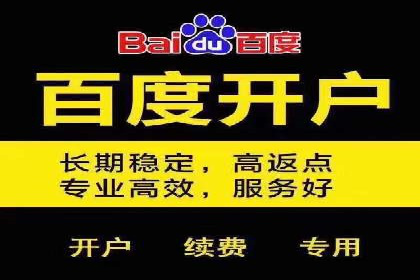解析SEM竞价代运营的成功要素及案例